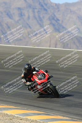 media/May-13-2023-SoCal Trackdays (Sat) [[8a473a8fd1]]/Bowl (840am)/